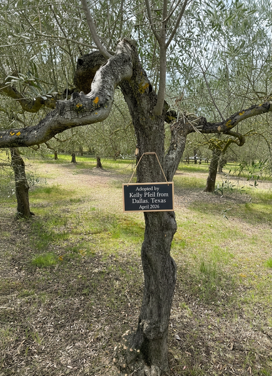 The Villa Splendida Founders Club